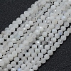 Natural Rainbow Moonstone Beads Strands LS-G-E411-08-4mm-1