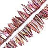 Electroplated Natural Freshwater Shell Beads SHEL-N026-197E-1