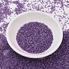 MIYUKI Delica Beads SEED-MY11-DB1754-2