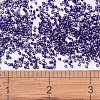 MIYUKI Delica Beads SEED-X0054-DB0609-4