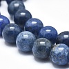 Natural Dumortierite Quartz Bead Strands G-I224-01-8mm-3