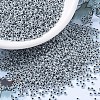 MIYUKI Round Rocailles Beads X-SEED-G007-RR0540-1