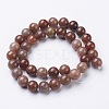 Natural Purple Aventurine Beads GSR10mmC025-3