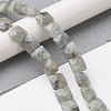Natural Labradorite Beads Strands G-K359-B17-01-2