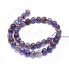 Natural Purple Lodolite Quartz/Purple Phantom Quartz Beads Strands G-J373-05A-10mm-2