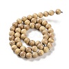 Natural Rainbow Alashan Agate Beads Strands G-NH0022-A06-02-3