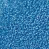 MIYUKI Round Rocailles Beads X-SEED-G008-RR0573-4