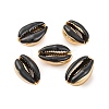 Electroplated Cowrie Shell Beads SSHEL-M023-05G-1