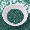 MIYUKI Delica Beads X-SEED-J020-DB0919-2