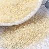 MIYUKI Round Rocailles Beads SEED-X0056-RR2217-1