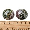 Natural Indian Agate Cabochons G-C115-02B-09-3