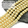 Eco-Friendly Dyed Glass Pearl Round Bead Strands X-HY-A002-8mm-RB071-2