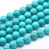 Natural Magnesite Round Beads Strands TURQ-G148-03-10mm-1