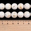 Synthetic Turquoise and Sea Shell Assembled Graduated Beads Strands GG-CBA2AE1-A07-7