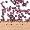 Transparent Inside Colours Glass Seed Beads SEED-H002-A-C207-4
