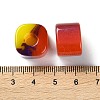Resin European Large Hole Beads RESI-U009-02A-01-3