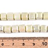 Anti-Tarnish Electroplate Glass Beads Strands GLAA-T025-8mm-10F-4