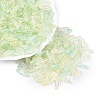 Picasso Transparent Glass Seed Beads SEED-N012-11G-1