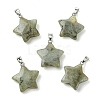 Natural Labradorite Pendants GG-K002-10G-1