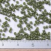 MIYUKI Delica Beads SEED-X0054-DB0391-4