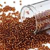 TOHO 11/0 Round Beads SEED-XTR11-2208-1