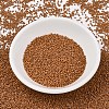 MIYUKI Delica Beads SEED-J020-DB2287-2