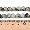 Natural Sesame Jasper/Kiwi Jasper Bead Strands G-R345-8mm-36-5