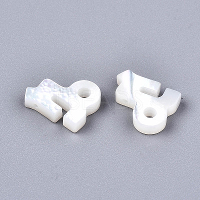 Natural White Shell Beads SSHEL-ZX004-02K-1