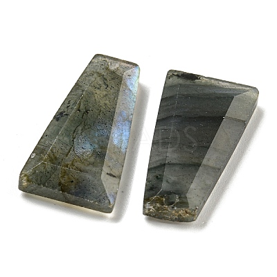 Natural Labradorite Pendants G-G123-02D-1