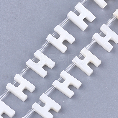 Natural Freshwater Shell Beads SHEL-T012-59H-1