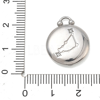 12 Constellations 304 Stainless Steel Pendants STAS-F354-01P-02-1