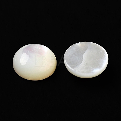 Natural White Shell Cabochons X-SSHEL-M022-01D-1