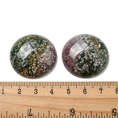 Natural Indian Agate Cabochons G-C115-02B-09-1