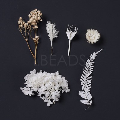 Dried Flowers DIY-D052-04-1