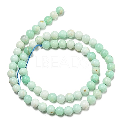 Grade A Natural Chrysoprase Beads Strands G-R494-A02-02-1
