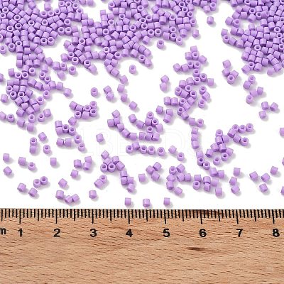 Baking Paint Glass Seed Beads X-SEED-S042-05B-71-1