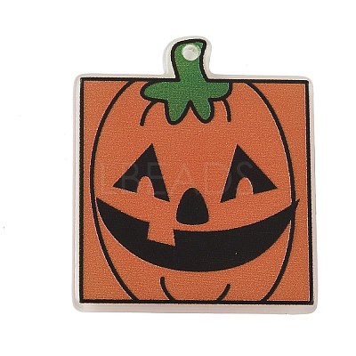 Printed Acrylic Pendants SACR-B008-04C-1