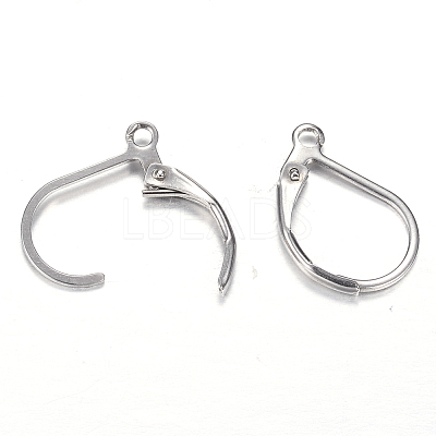 Tarnish Resistant 304 Stainless Steel Leverback Earring Findings LS-STAS-M217-03-1