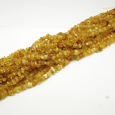 Natural Amber Chip Beads Strands X-G-E333-01B-1