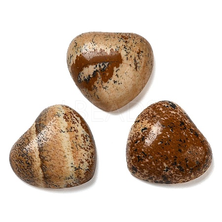 Natural Picture Jasper Cabochons G-F776-02A-17-1