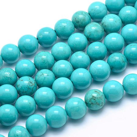 Natural Magnesite Round Beads Strands TURQ-G148-03-10mm-1