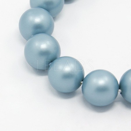 Round Shell Pearl Frosted Beads Strands X-BSHE-I002-6mm-323-1