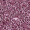 FGB 11/0 Grade A Glass Seed Beads SEED-S030-1203-2