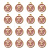 Golden Plated Alloy Enamel Charms X-ENAM-S118-07Y-2