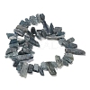 Natural Kyanite Beads Strands G-C253-04-3