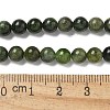 Natural Green Diopside Beads Strands G-K382-B01-01-5