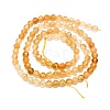 Heated Natural Citrine Beads Strands G-P457-A03-22-3