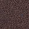 MIYUKI Round Rocailles Beads X-SEED-G008-RR2005-3