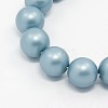 Round Shell Pearl Frosted Beads Strands BSHE-I002-6mm-323-1