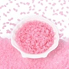 FGB Frosted Transparent Glass Seed Beads SEED-N013-06A-05-2
